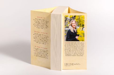 InsideView 5
