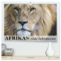 Afrikas wilde Schönheiten (hochwertiger Premium Wandkalender 2025 DIN A2 quer), Kunstdruck in Hochglanz - Elisabeth Stanzer