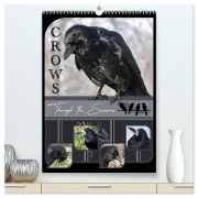 Cover-Bild zum Titel 'Crows - Through the Seasons (High Quality Premium Wall Calendar 2026 DIN A2 portrait),CALVENDO 12 Month Wall Calendar' von 'Irene Saar'