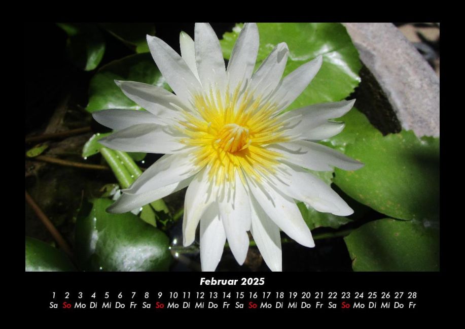 InsideView 6