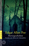 Cover-Bild zum Titel 'Horrorgeschichten' von 'Edgar Allan Poe'