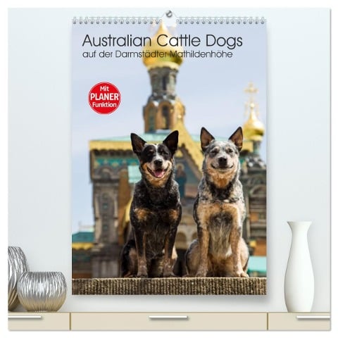 Australian Cattle Dogs auf der Darmstädter Mathildenhöhe (hochwertiger Premium Wandkalender 2025 DIN A2 hoch), Kunstdruck in Hochglanz - Fotodesign Verena Scholze