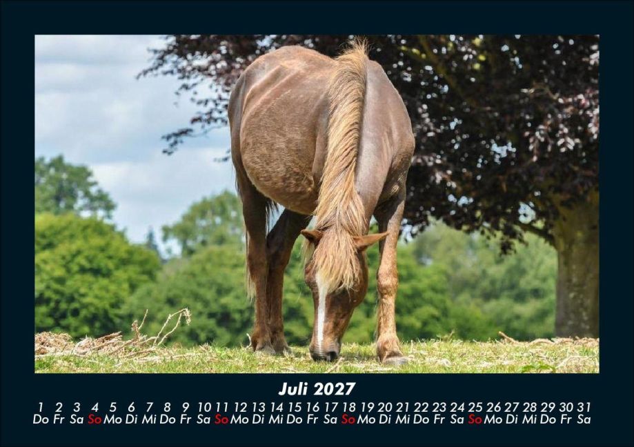 InsideView 11
