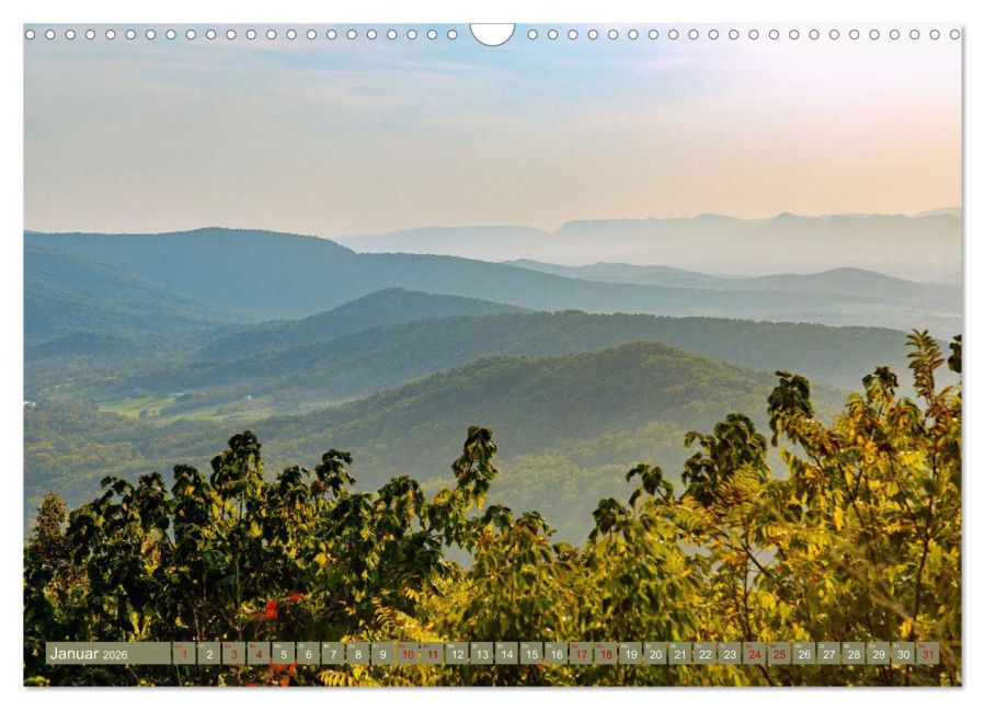 InsideView 6
