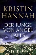 Cover-Bild zum Titel 'Der Junge von Angel Falls' von 'Kristin Hannah'