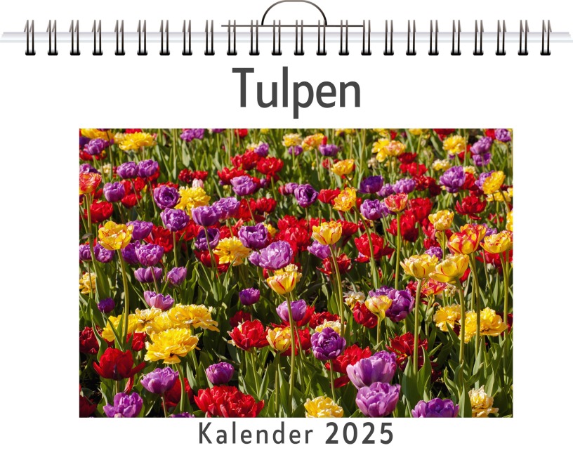 Tulpen - Laura Klein