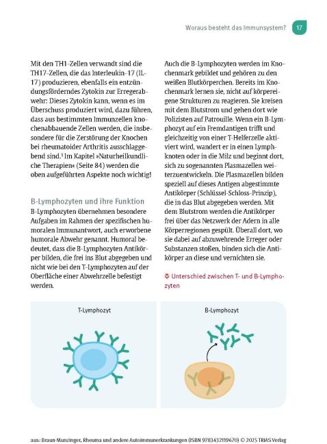 InsideView 12