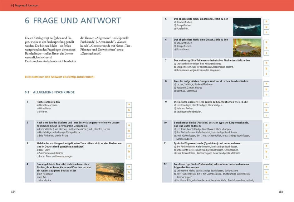 InsideView 5