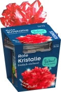 Cover-Bild zum Titel 'Rote Kristalle' von ''