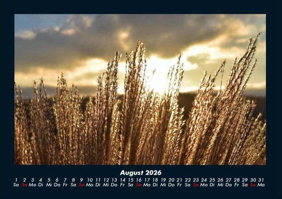 InsideView 12