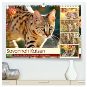 Cover-Bild zum Titel 'Savannah Katzen. Exotische Wildschönheiten im Naturgarten (hochwertiger Premium Wandkalender 2026 DIN A2 quer), Kunstdruck in Hochglanz' von 'Rose Hurley'