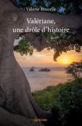 Cover-Bild zum Titel 'Valériane, une drôle d'histoire' von 'Valérie Brucelle'