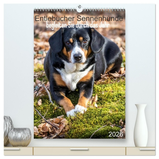 Entlebucher Sennenhunde begleiten Sie durch das Jahr (hochwertiger Premium Wandkalender 2026 DIN A2 hoch), Kunstdruck in Hochglanz - SchnelleWelten SchnelleWelten