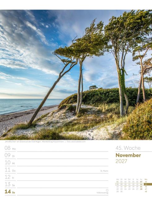 InsideView 49