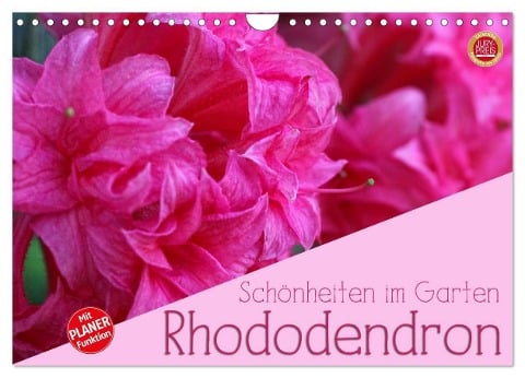 Rhododendron Schönheiten im Garten (Wandkalender 2025 DIN A4 quer), CALVENDO Monatskalender - Martina Cross