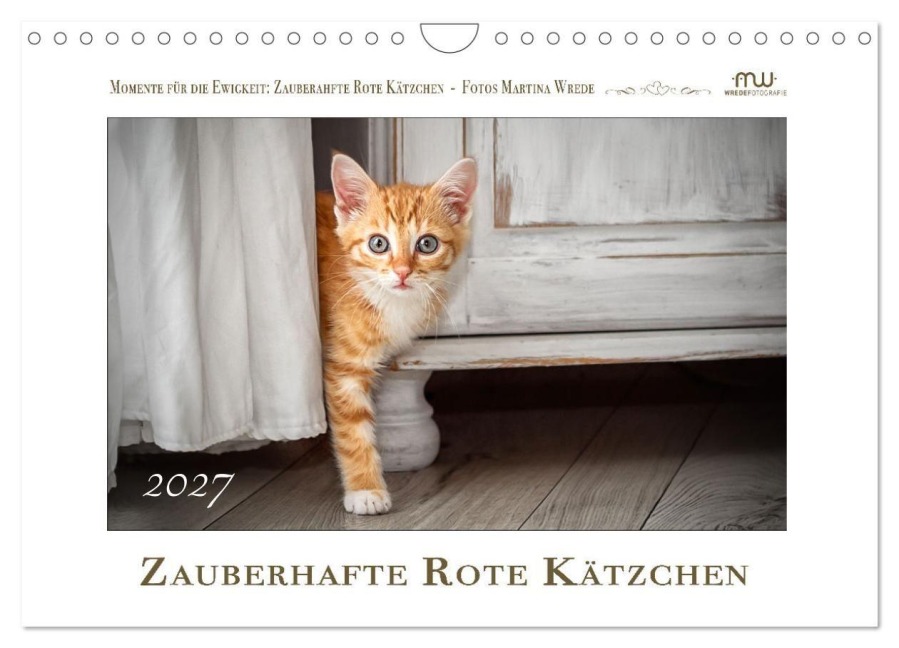 Zauberhafte rote Kätzchen (Wandkalender 2027 DIN A4 quer), CALVENDO Monatskalender - Martina Wrede - Wredefotografie