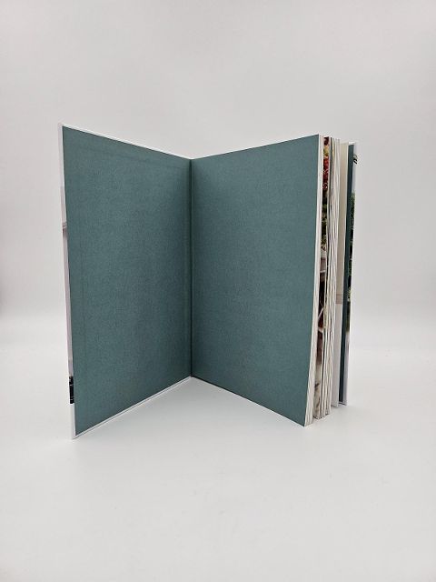 InsideView 6