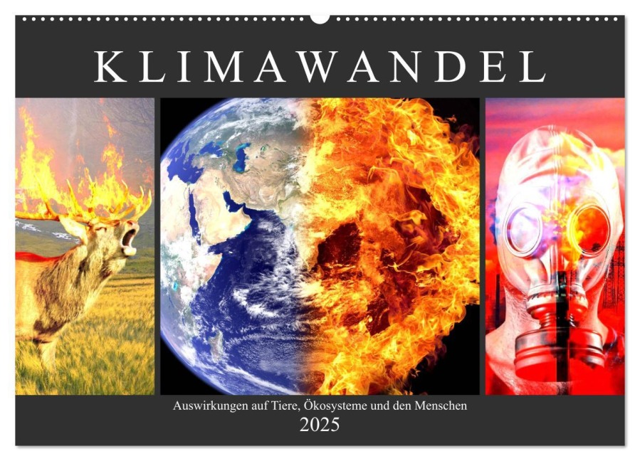 Klimawandel. Auswirkungen auf Tiere, Ökosysteme und den Menschen (Wandkalender 2025 DIN A2 quer), CALVENDO Monatskalender - Rose Hurley
