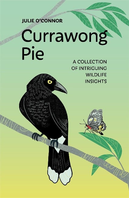 Currawong Pie: A collection of intriguing wildlife insights - Julie O'Connor