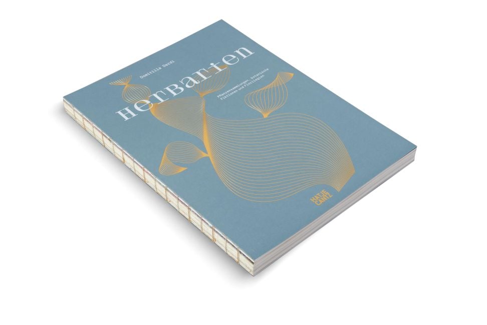 InsideView 16