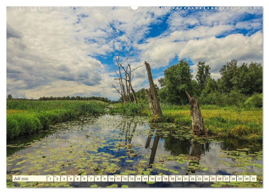 InsideView 11