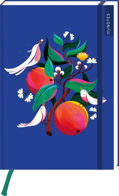 myNOTES Papeterie: Notizbuch A5 Farben des Sommers - 