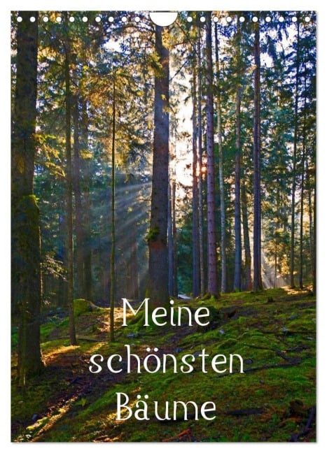 Meine schönsten Bäume (Wandkalender 2026 DIN A4 hoch), CALVENDO Monatskalender - Christa Kramer