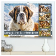 Königliche Bernhardiner. Die sanften Riesen der Alpen (hochwertiger Premium Wandkalender 2026 DIN A2 quer), Kunstdruck in Hochglanz - Rose Hurley