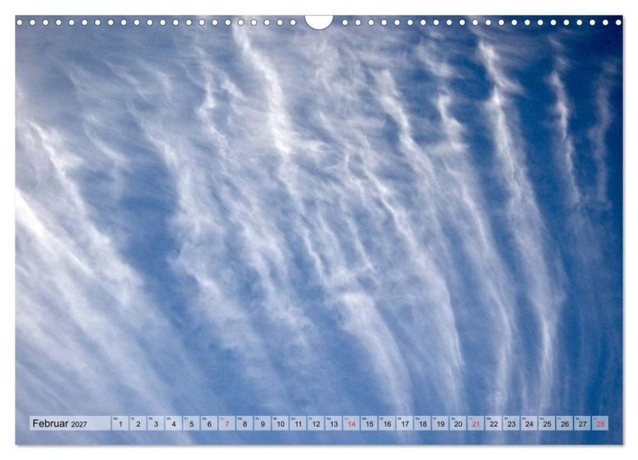 InsideView 7