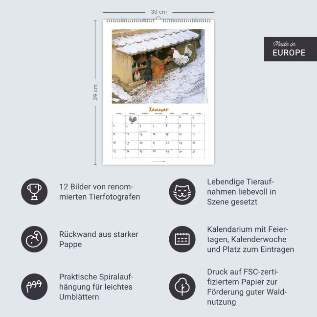 InsideView 13