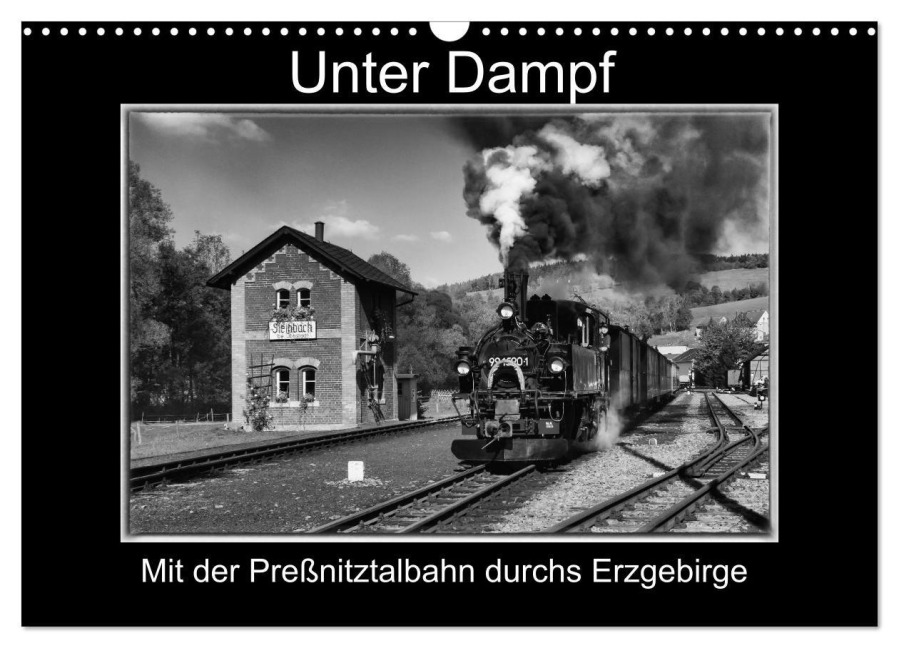 Unter Dampf - Mit der Preßnitztalbahn durchs Erzgebirge (Wandkalender 2026 DIN A3 quer), CALVENDO Monatskalender - Marion Maurer