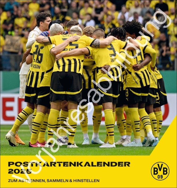 BVB Postkartenkalender 2026 - 