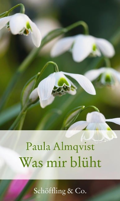 Was mir blüht - Paula Almqvist