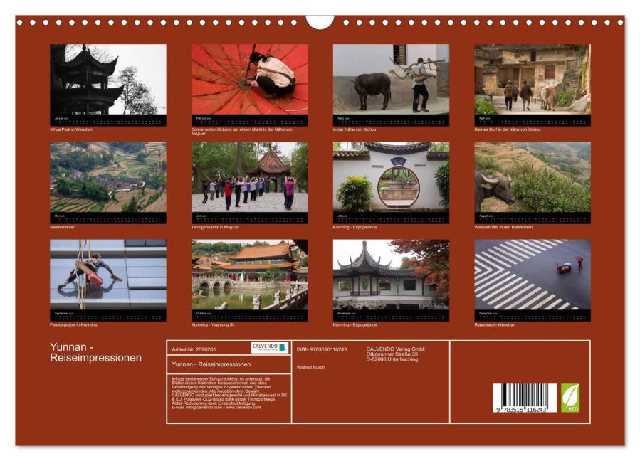 InsideView 5