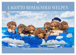 Lagotto Romagnolo Welpen - Sieben kleine Weltentdecker auf großer Fahrt (Wandkalender 2025 DIN A2 quer), CALVENDO Monatskalender - Sigrid Starick