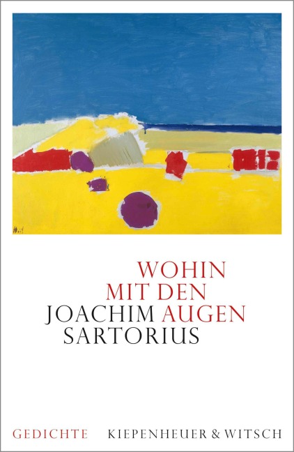 Wohin mit den Augen - Joachim Sartorius