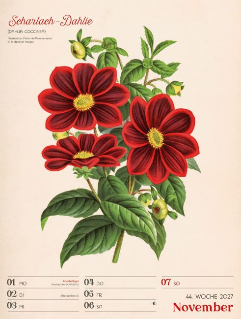 InsideView 48