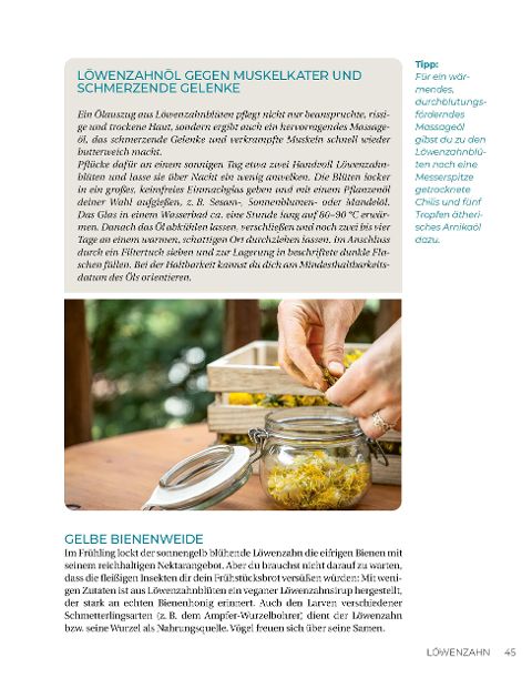 InsideView 16