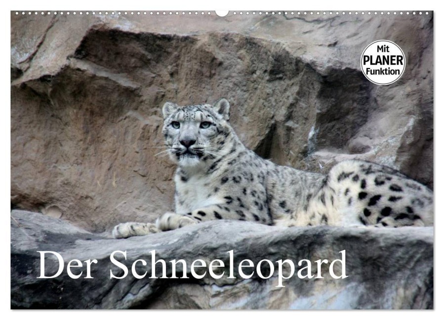 Der Schneeleopard (Wandkalender 2025 DIN A2 quer), CALVENDO Monatskalender - Arno Klatt