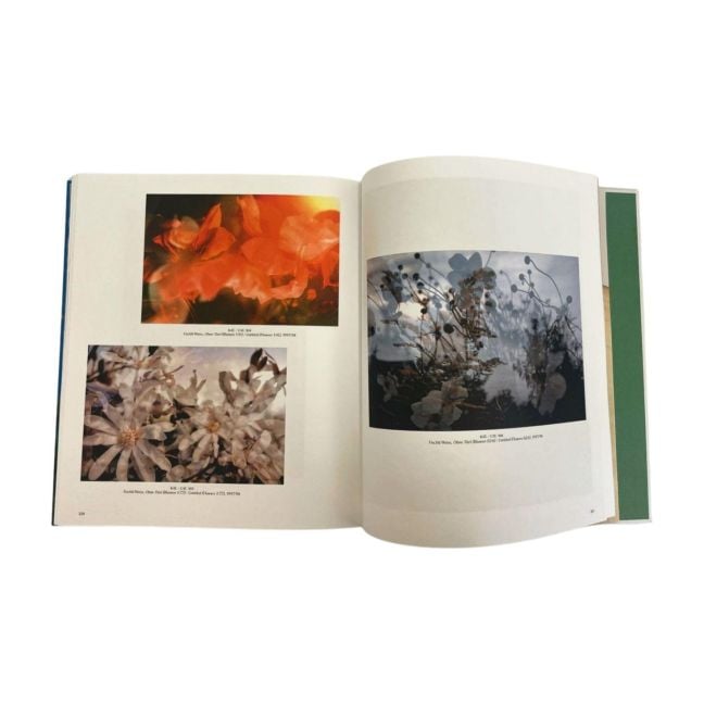 InsideView 5