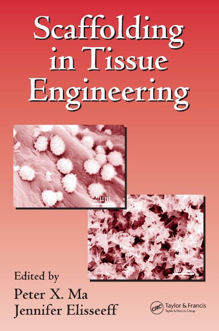 Scaffolding In Tissue Engineering - 