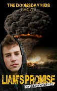 Liam's Promise - Karyn Langhorne Folan