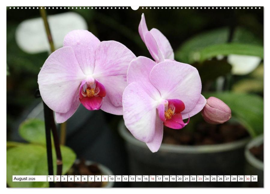 InsideView 13