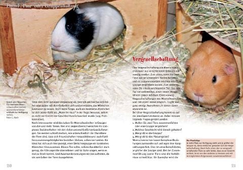 InsideView 3