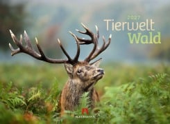 Cover-Bild zum Titel 'Tierwelt Wald Kalender 2027' von 'Ackermann Kunstverlag GmbH'