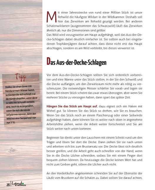 InsideView 6