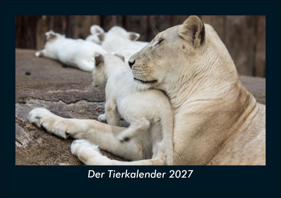 Der Tierkalender 2027 Fotokalender DIN A5 - Tobias Schmitt, Kevin Heber