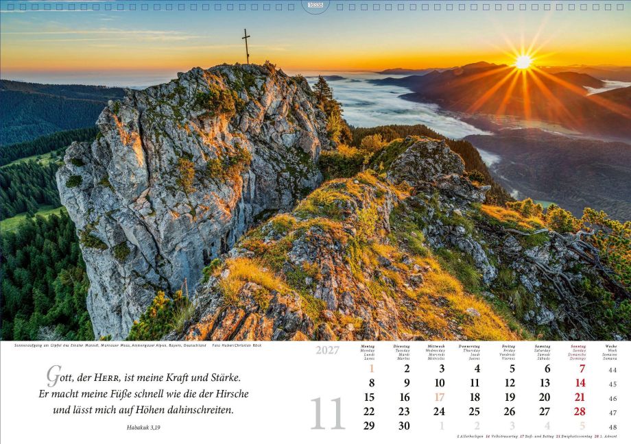 InsideView 11