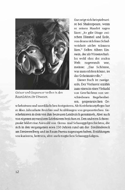 InsideView 8