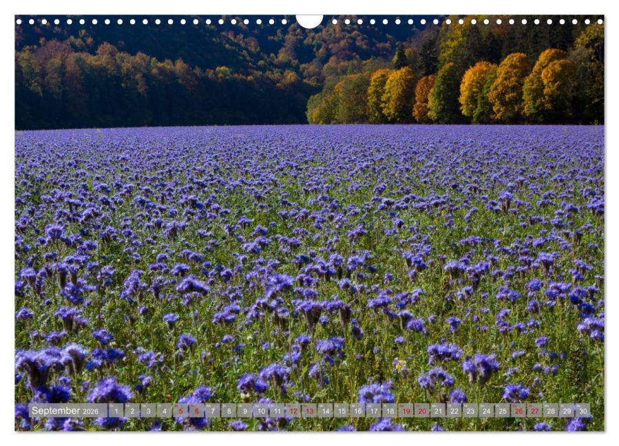InsideView 14